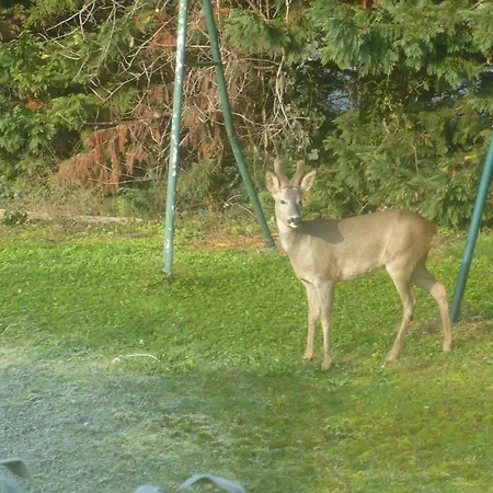 D'hotes En Saubis 2* Montestruc-sur-Gers